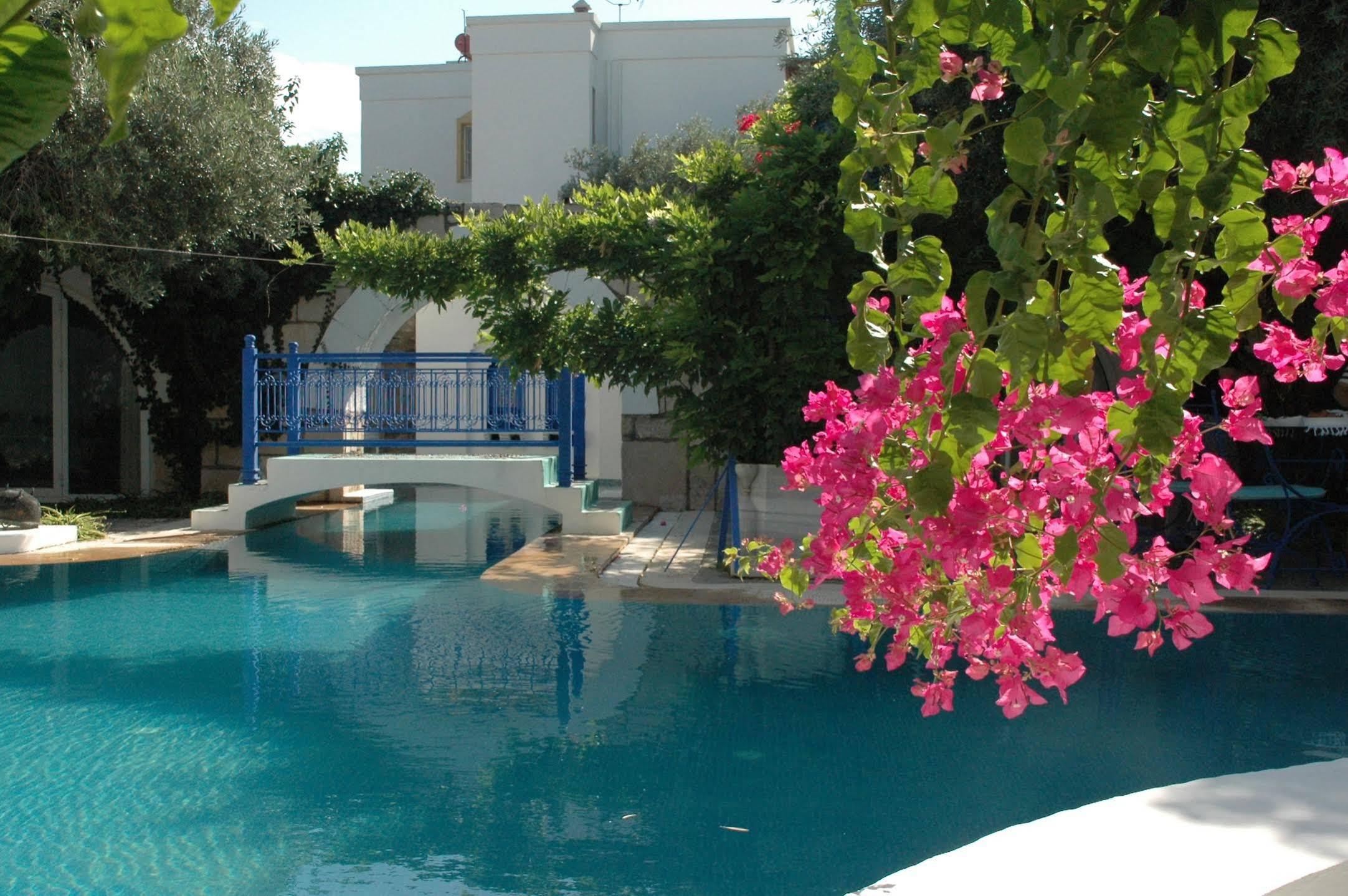 Villa Oliva Butik Hotel Konacik Eksteriør bilde